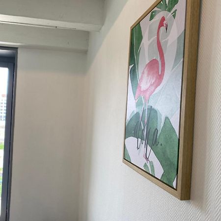 Les Cosy De Nancy - Le Duplex Aux Flammants Roses - 4Etoiles Apartment Luaran gambar